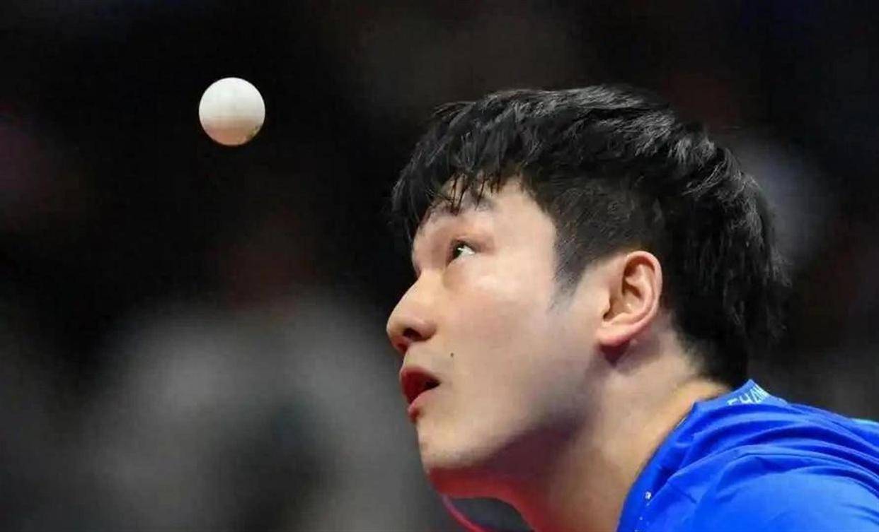 开云体育中国-瑞典乒乓球队血洗波兰乒乓球队，樊振东打破历史纪录