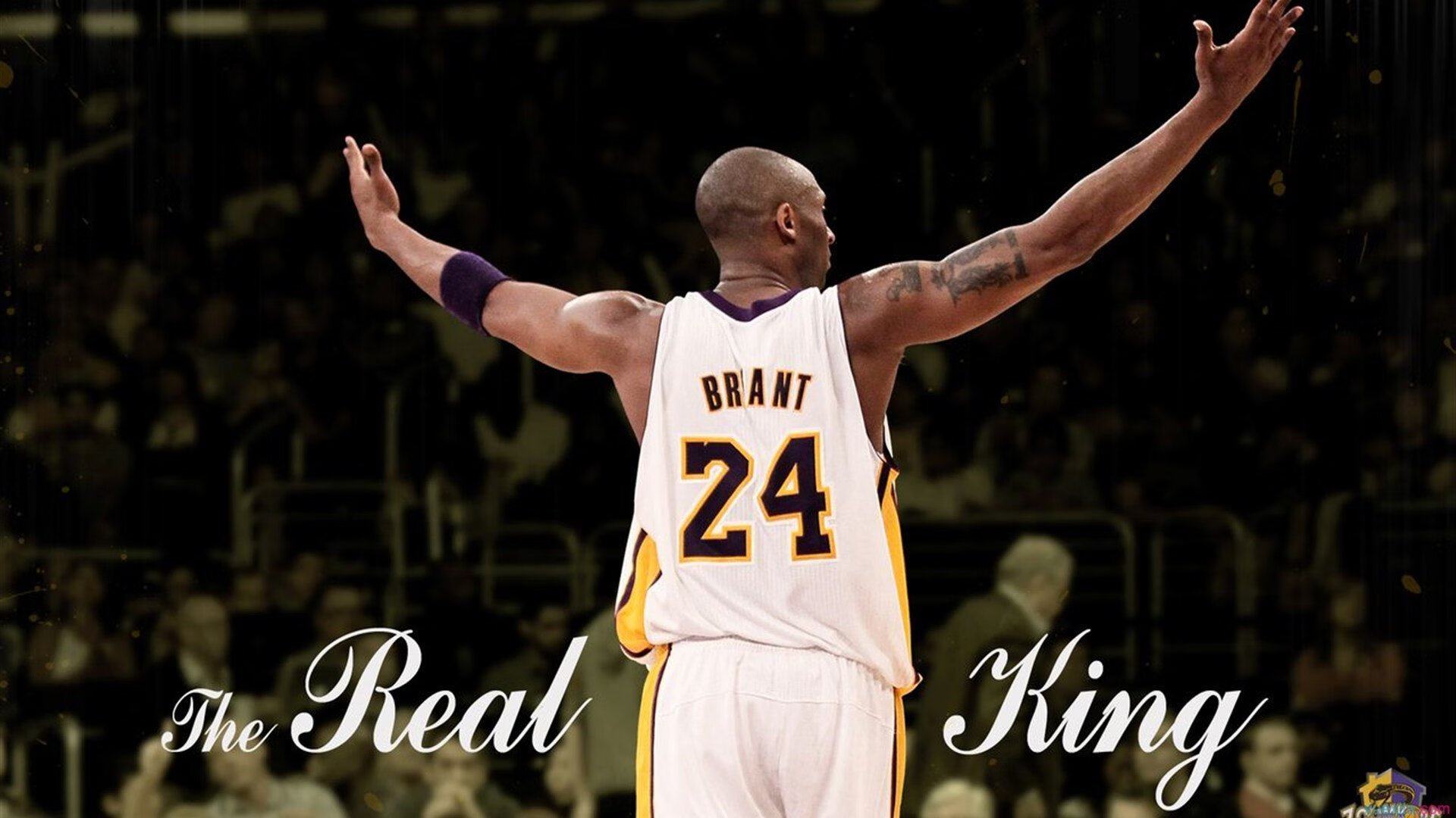 开云平台-2026世界杯之夜，黄喜灿进攻端无人可挡，亚洲之光闪耀北美赛场